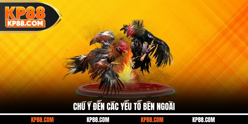 Chú ý đến các yếu tố bên ngoài