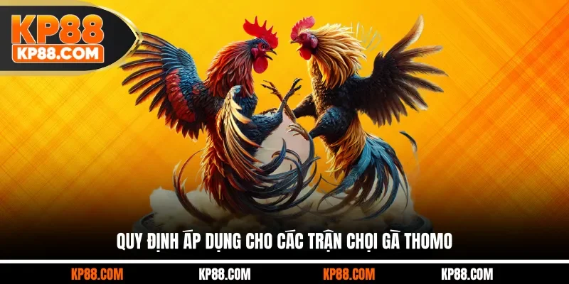 Quy định áp dụng cho các trận chọi gà Thomo
