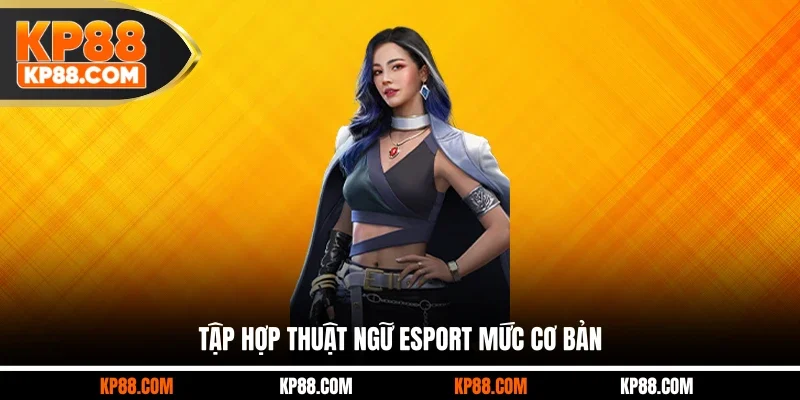 Tập hợp thuật ngữ esport mức cơ bản